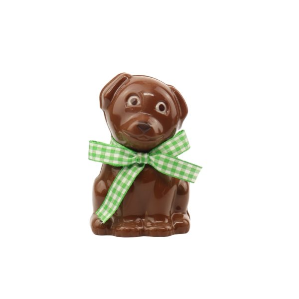 Chien en chocolat