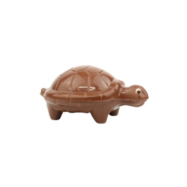 Tortue en chocolat